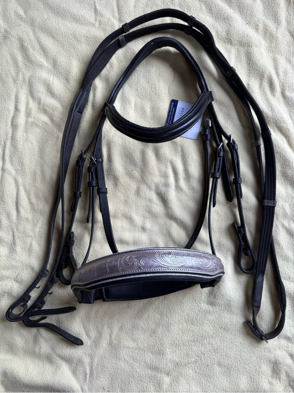 Cob bridle with statement noseband
